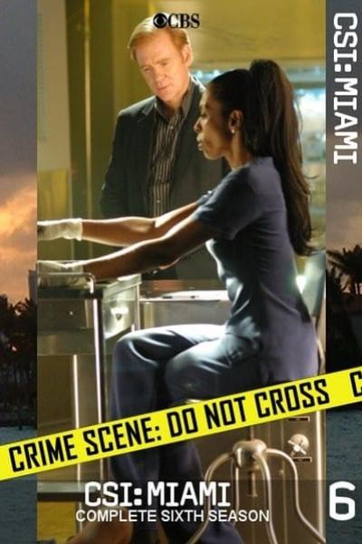 CSI Miami Season 6 