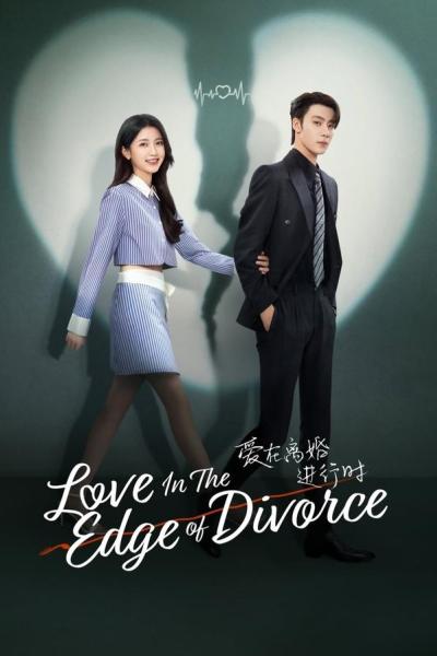 Love in the Edge of Divorce (2025) เมื่อหัวใจห่างไกลรัก